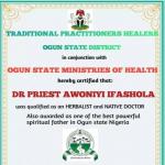 The best powerful spiritual herbalist in Nigeria chief Dr awoniyi+2348117855171 - Sell advertisement in Abuja