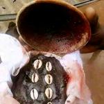 The most powerful spiritual herbalist native doctor in Nigeria+2349015594876 - Sell advertisement in Ijebu Ode